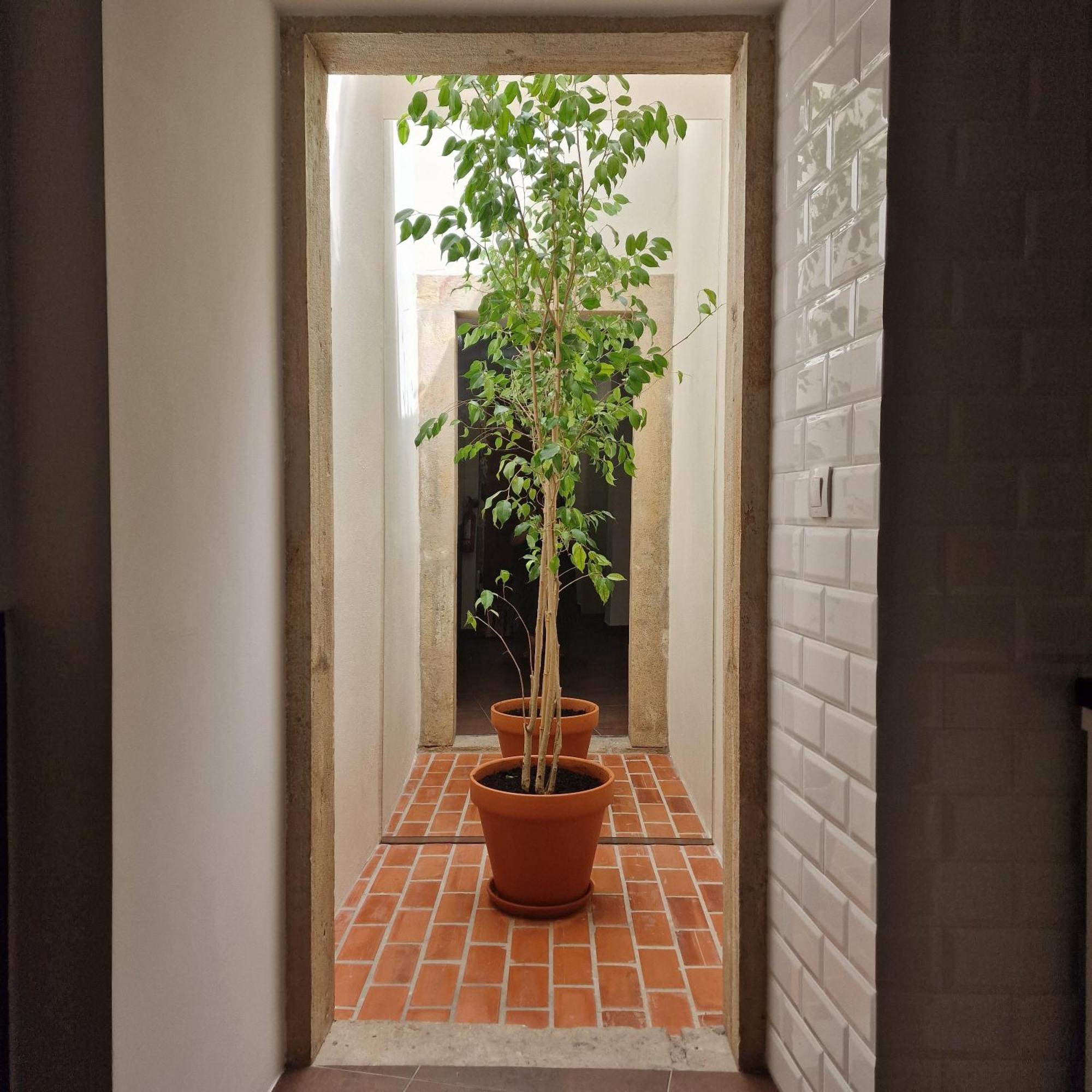 Casas De